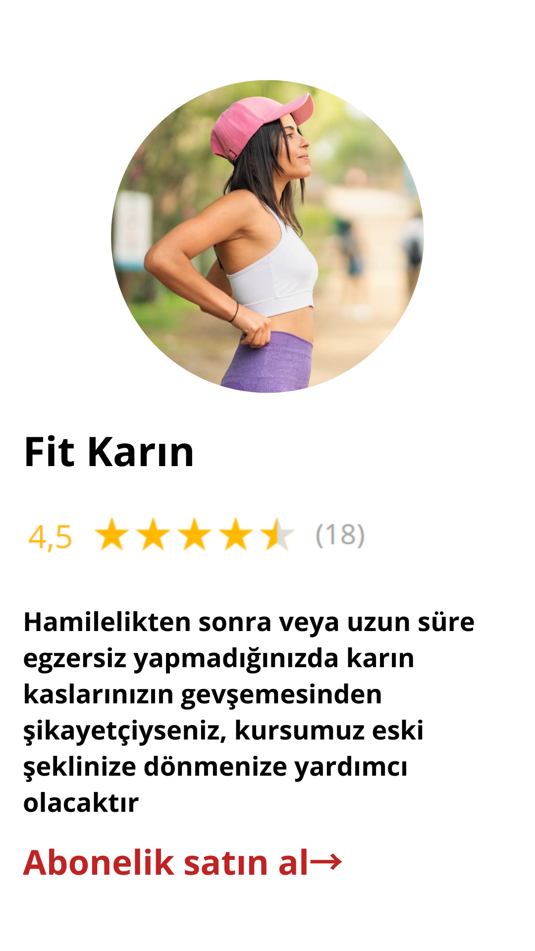 Karın programı